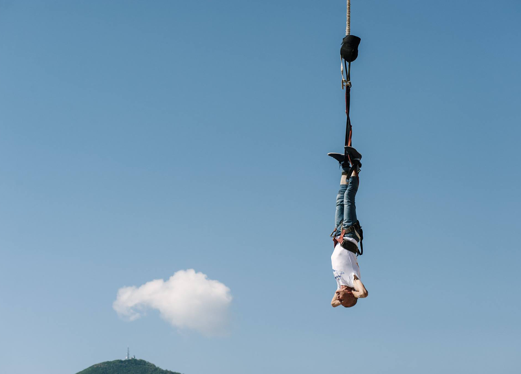 Каракал шлепа. Кто прыгает выше всех. Высокий прыжок. Какое животное прыгает выше всех. В прыжке.