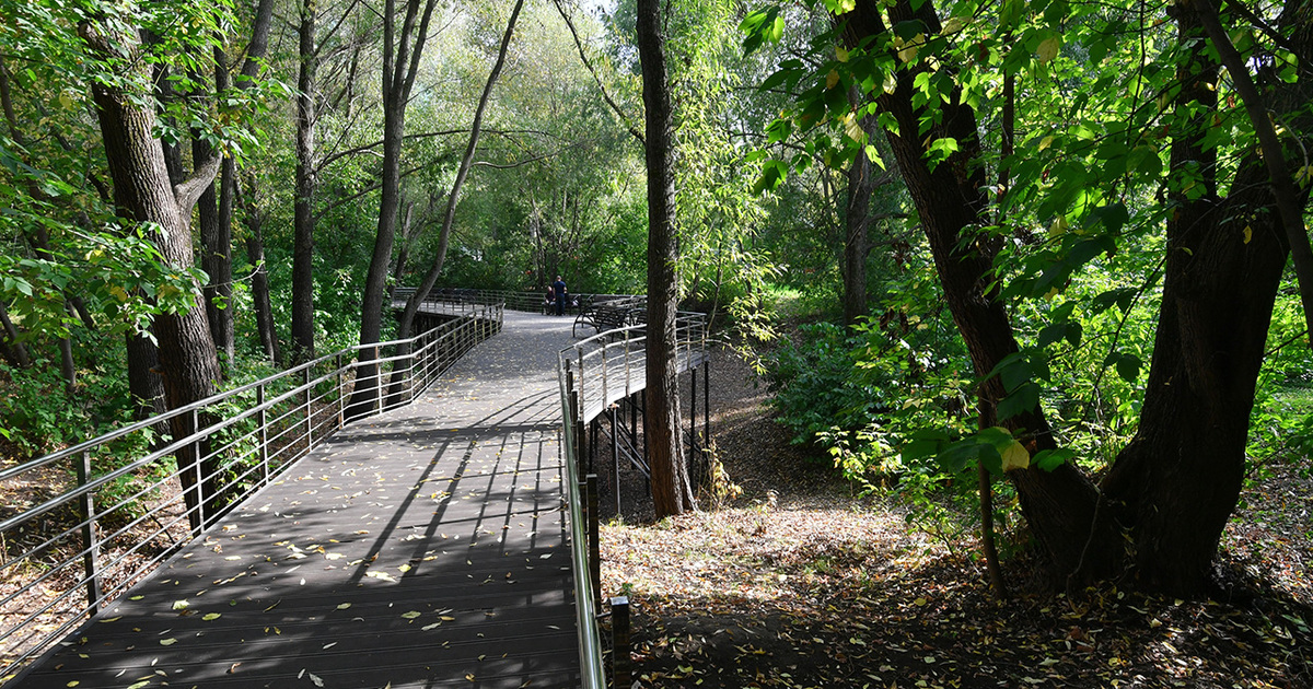 летний парк прогулка. удельный парк в санкт-петербурге зимой. парк топкапы стамбул. найди парк видео. верхний парк липецк фото.