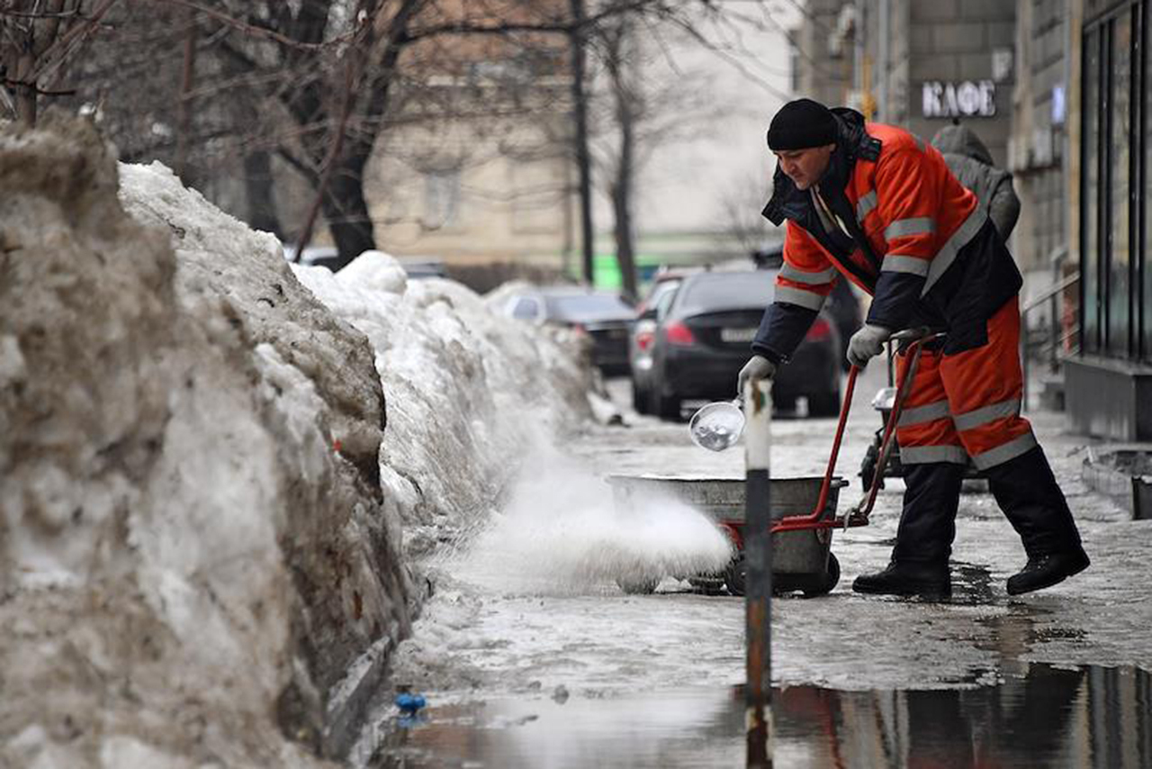 Эколог рассказала о вреде используемых зимой реагентов в Москве
