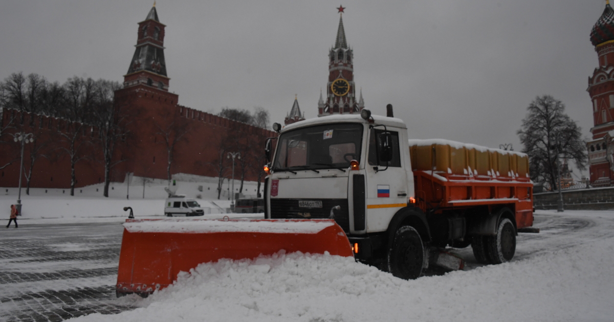 По мере надобности из под дивана выйти вслед за посетителем в следствии сильного снегопада