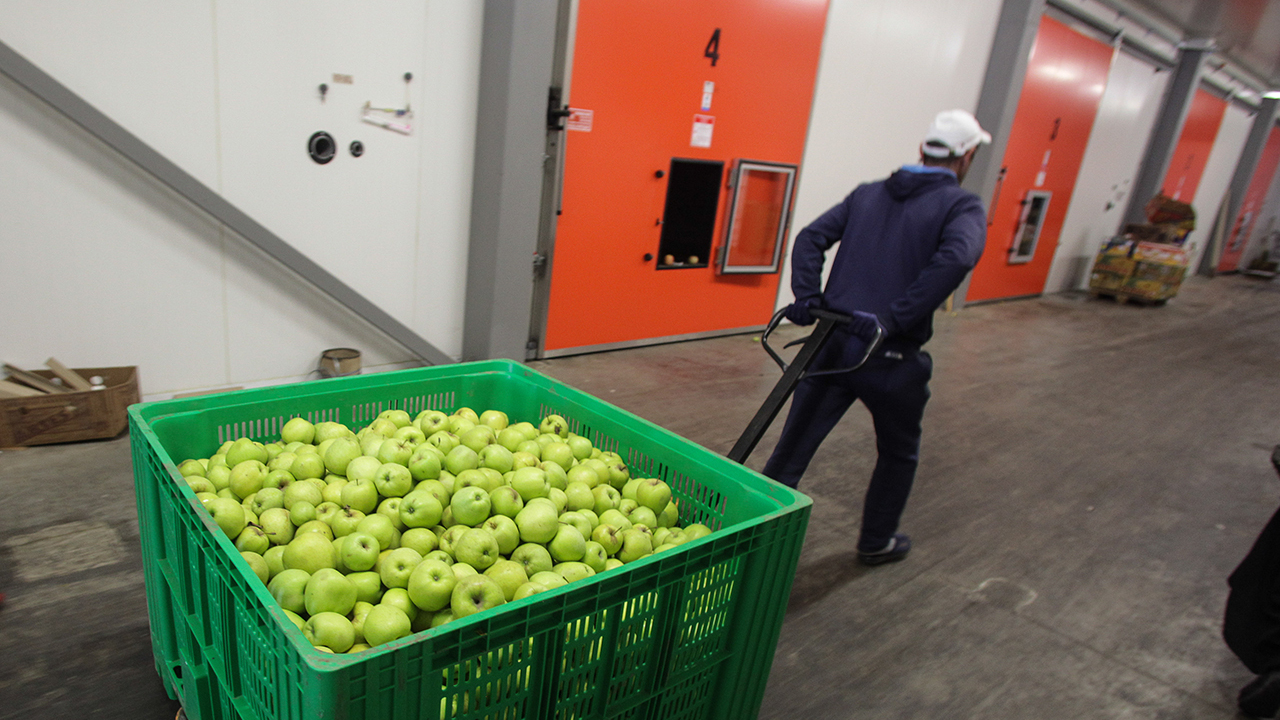 В Москве приезжий грузчик украл со склада продукты питания и обогатился ...