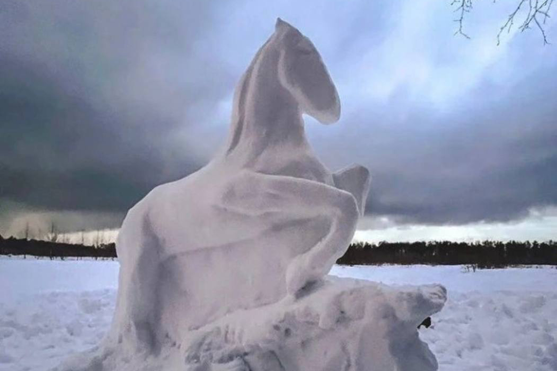 Фото Лошадь снегу, более 97 качественных бесплатных стоковых фото