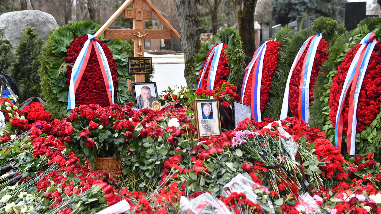 Могила жириновского сегодня фото