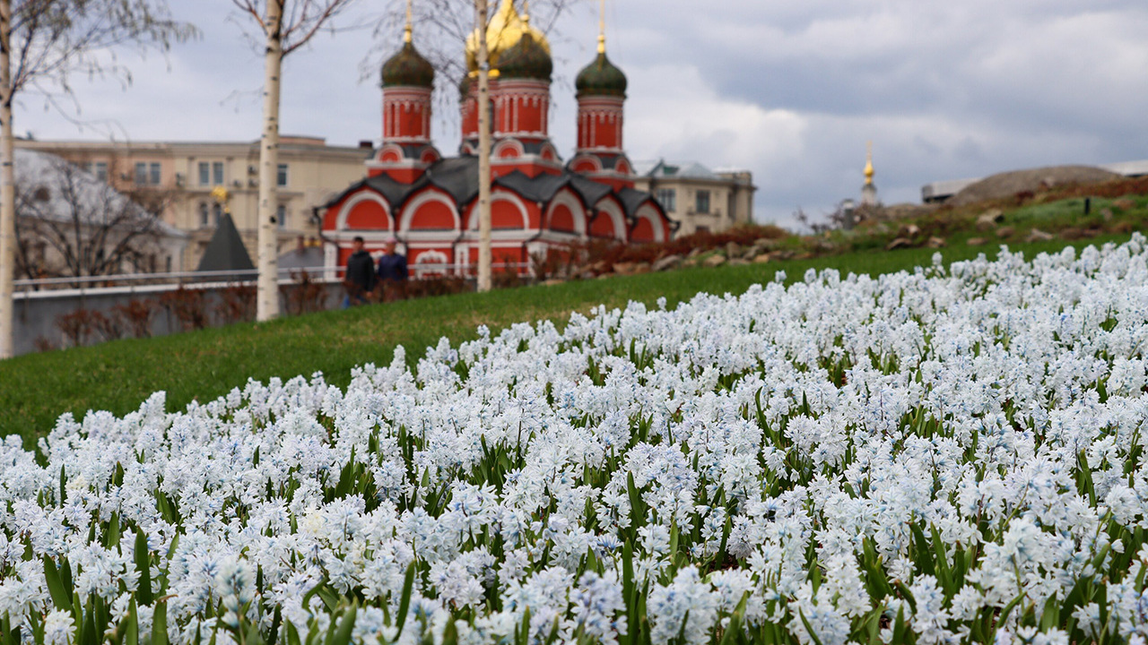 москва в мае 2016