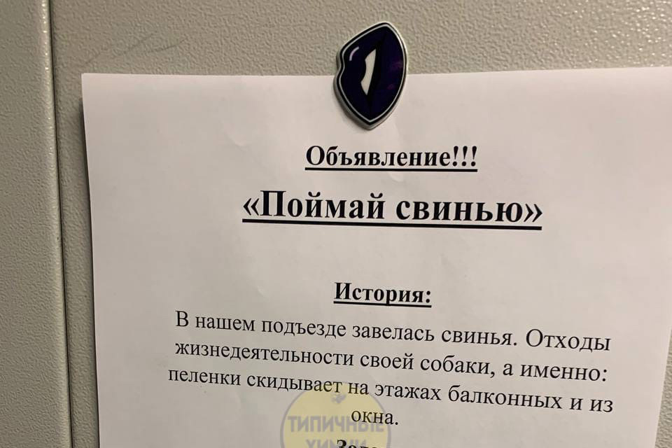 Необычное объявление в лифте подмосковной многоэтажки развеселило россиян