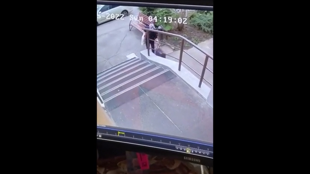 Кража оставленного у подъезда чемодана с 1,5 миллиона рублей попала на ...