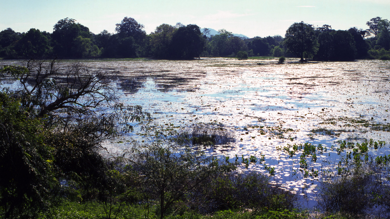 Дерматолог перечислила риски купания в некоторых водоемах