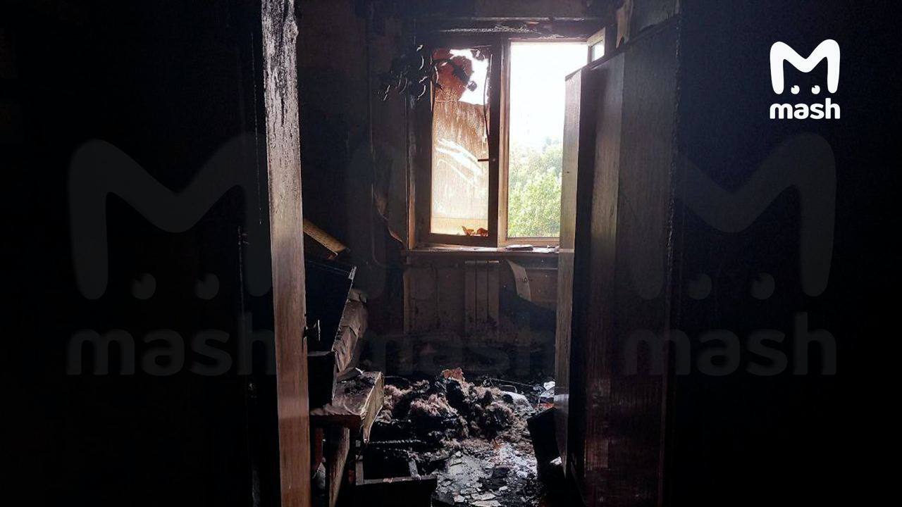 В московской квартире во время дезинсекции произошел пожар