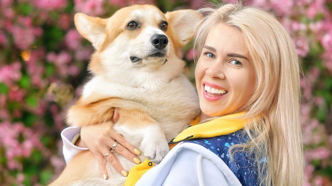 Названа самая модная в Москве порода собак: Новости: Город - Мослента