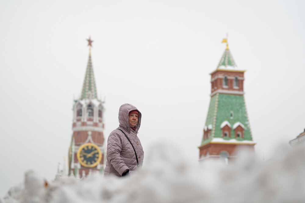 Проект холод москва