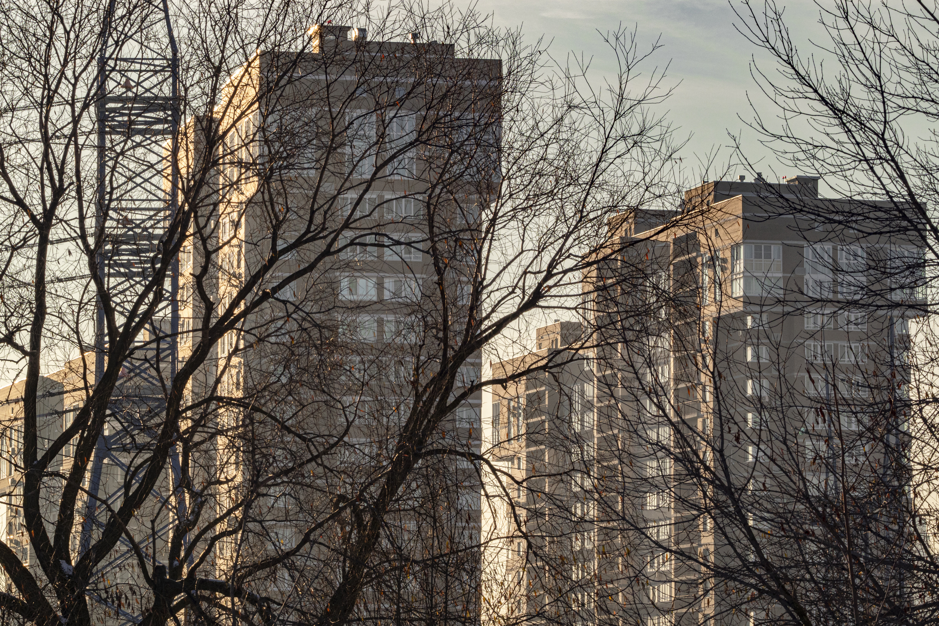 Названы районы в центре Москвы с самым дешевым арендным жильем