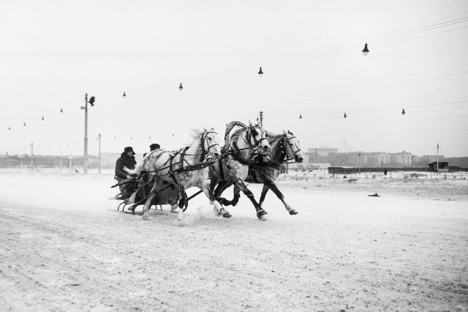 Тройка лошадей во время гонки на ипподроме в Москве