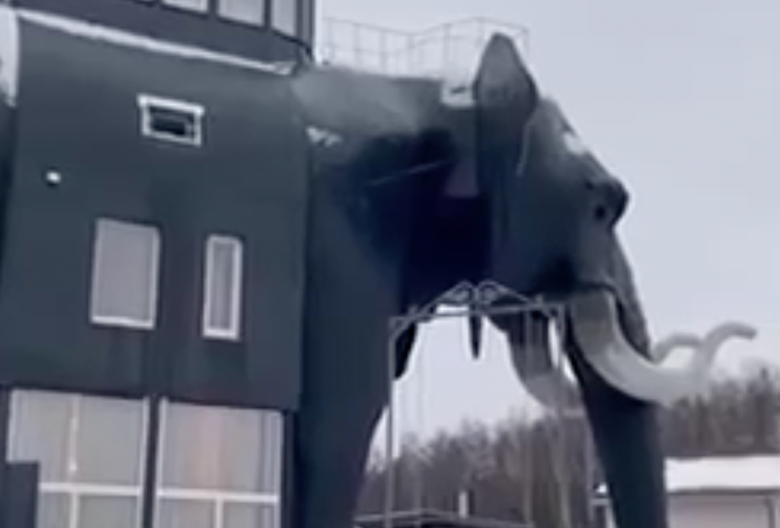 Дом в виде слона в подмосковье