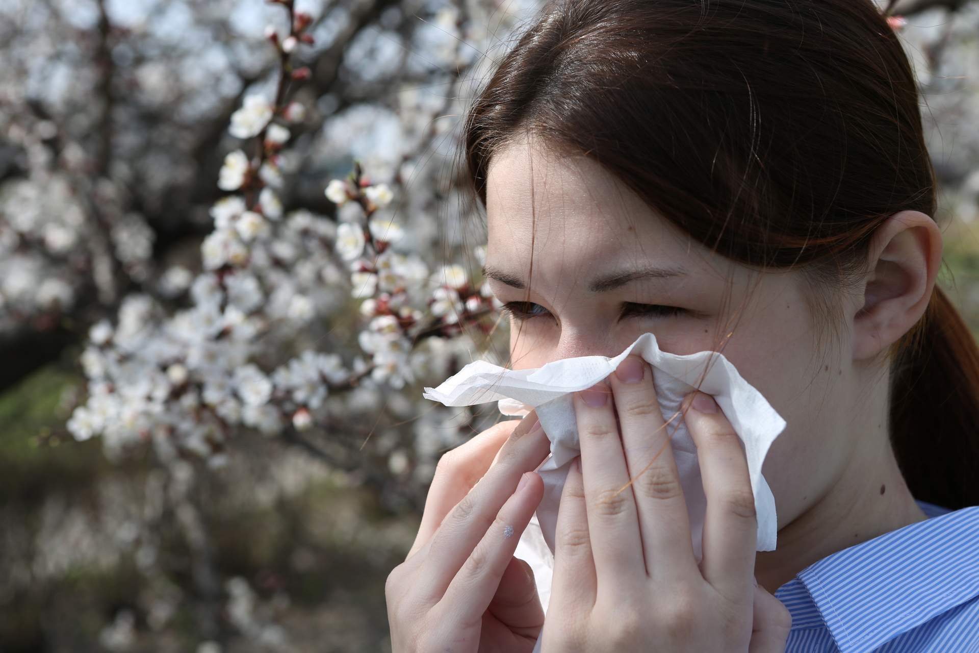 Больше всего аллергенов обнаружено на северо-западе Москвы