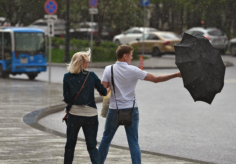 МЧС предупредило москвичей об опасности из-за дождя, грозы и сильного ветра
