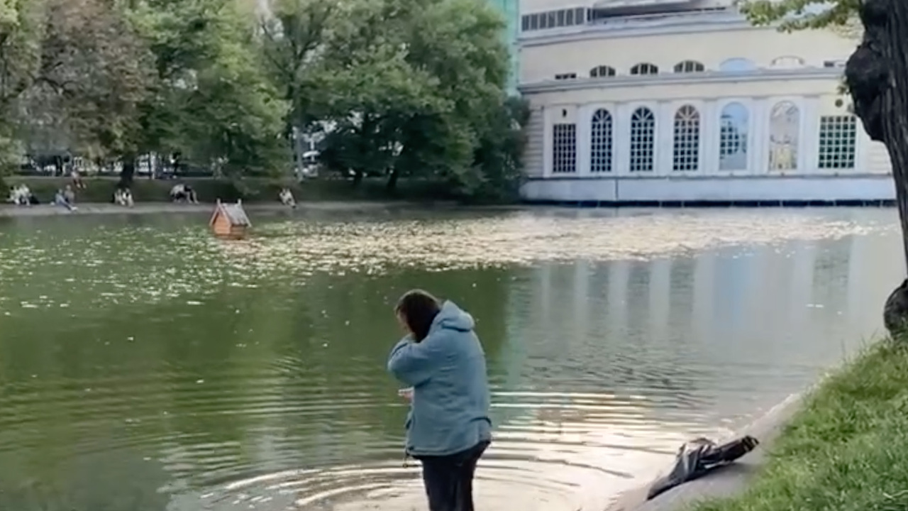 Пруд дмитряшевка чистые пруды. Пруд надпись. Чистые пруды москва. Чистые пруды пруд. Чистые пруды тальков.