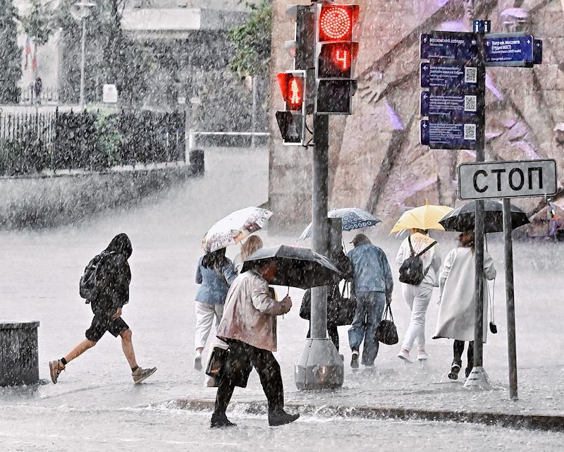 «Желтый» уровень погодной опасности объявили в Москве и области из-за грозы и ветра