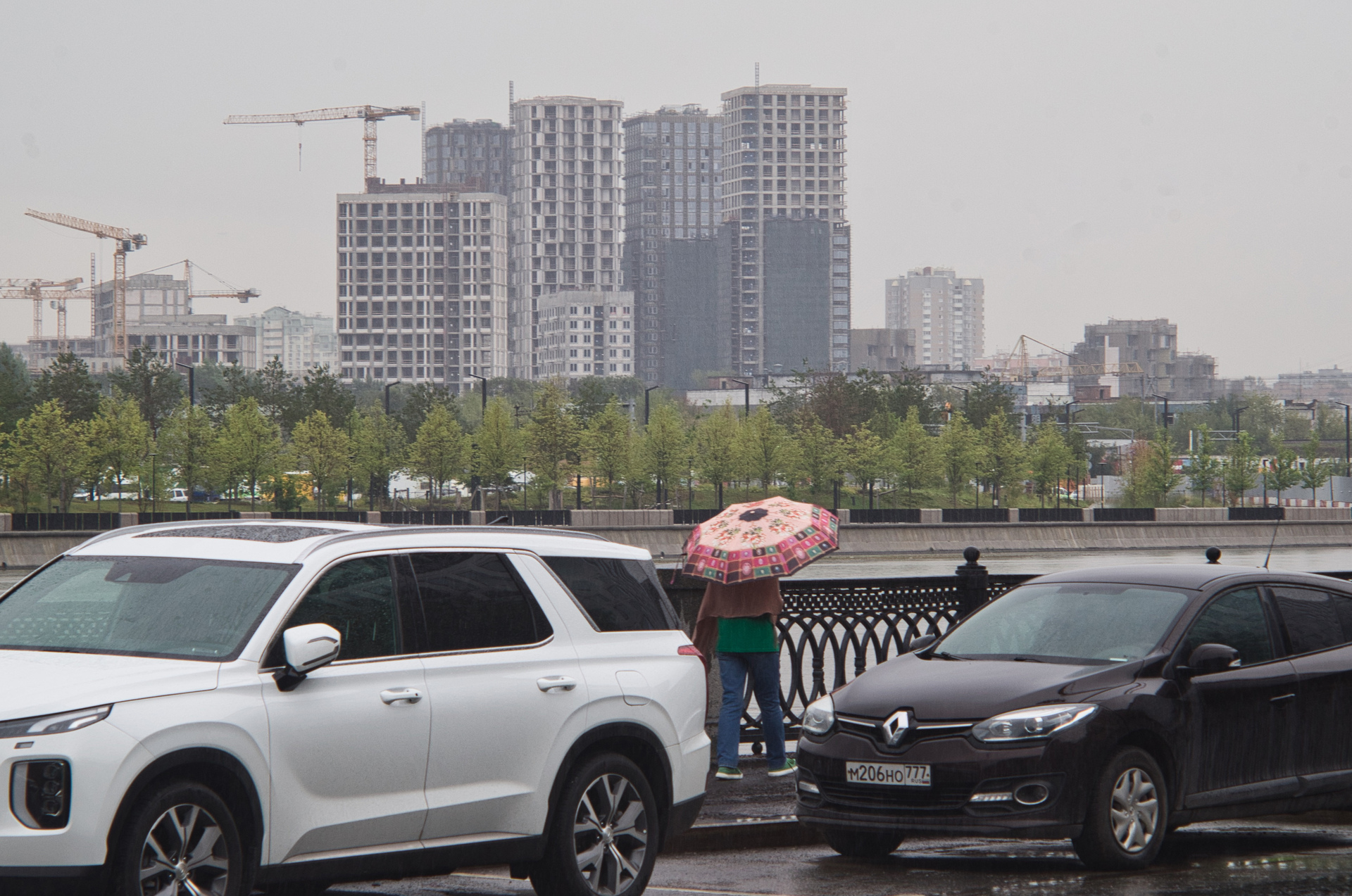 МЧС предупредило жителей Москвы о дожде с грозой и сильном ветре