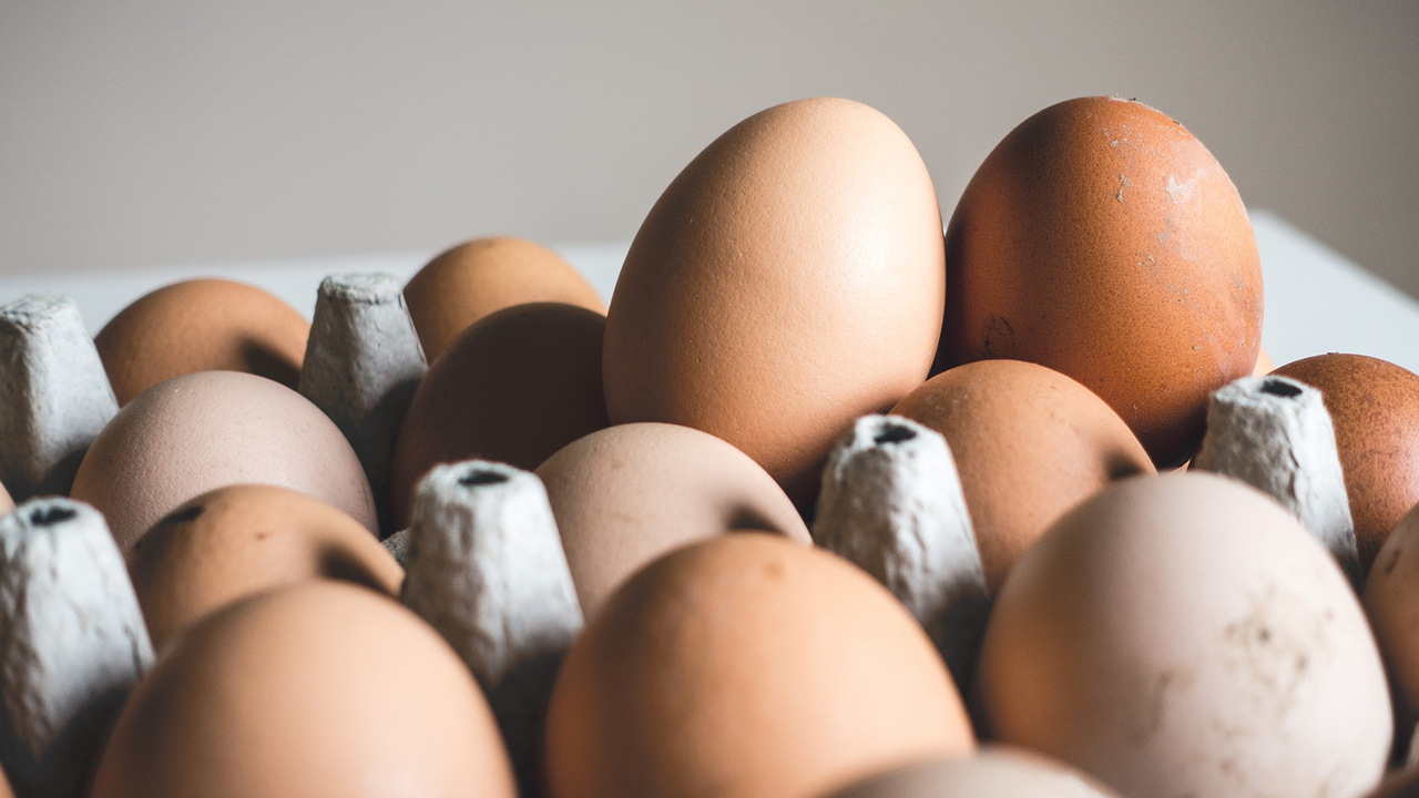 Роспотребнадзор дал советы по выбору и хранению яиц: Новости: Люди ...