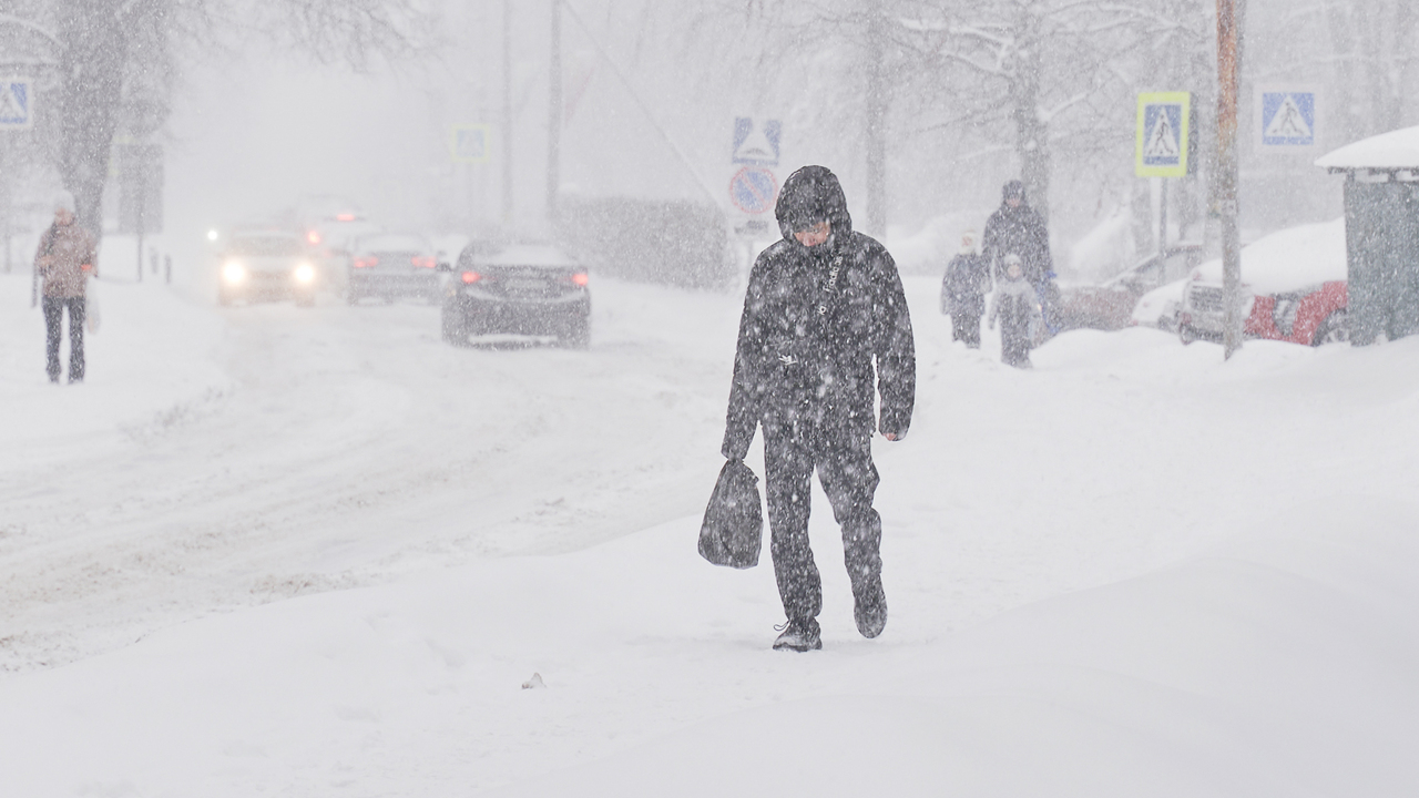 Циклон «Ваня» принес в Москве пятую часть месячной нормы осадков - Мослента