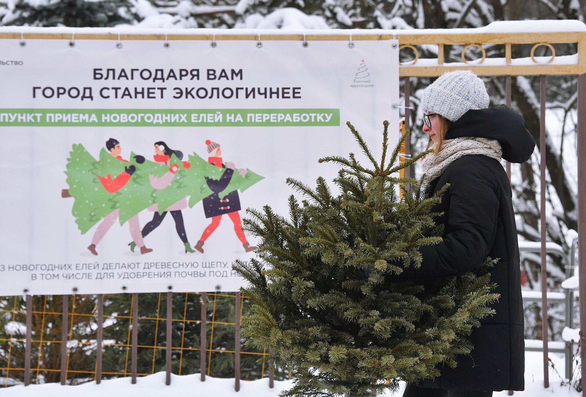 Елка не расставаясь. Утилизация новогодних елей в Москве. Переработка новогодних елок. Пункт утилизации елок. Утилизация елок после нового года.