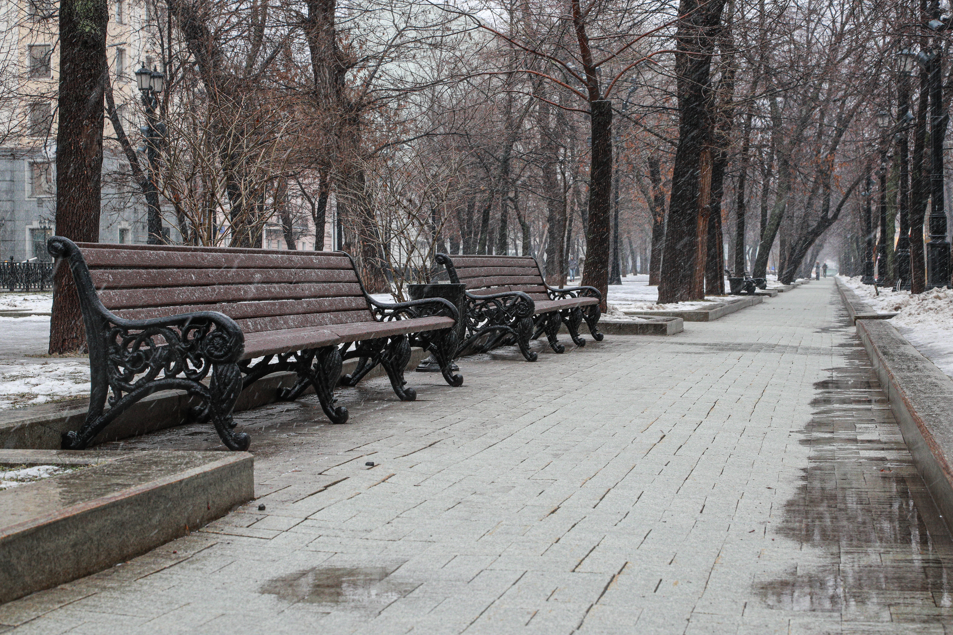 Синоптик Цыганков: В Москве прогнозируется теплая погода с дождями