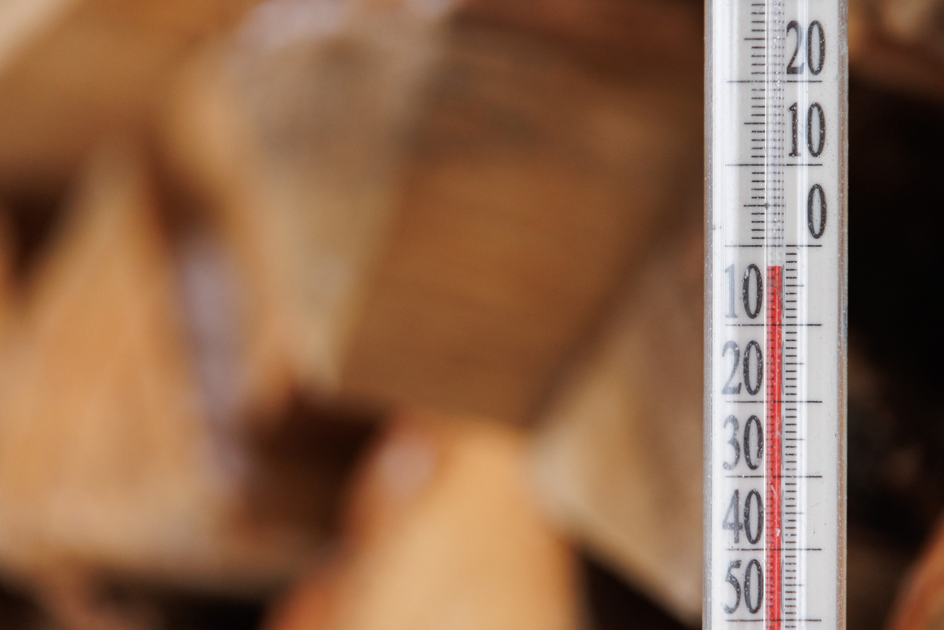 Синоптик Макарова: Вслед за оттепелью в Московский регион придет похолодание