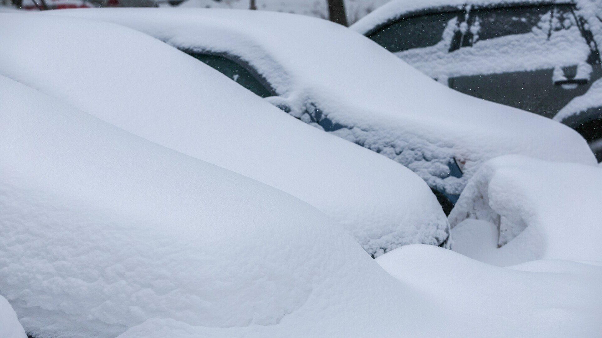В Москве вечером 14 февраля ожидается резкое похолодание и мокрый снег