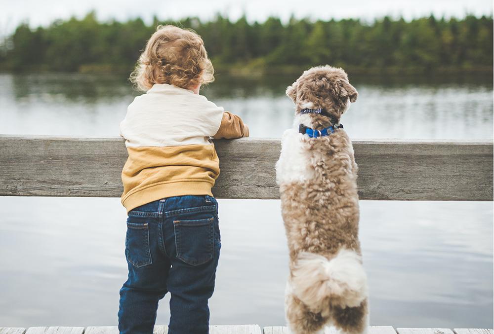 Кинологи назвали способ оградить маленького ребенка от агрессии собаки