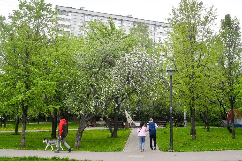 Архитектор назвал характерную черту московского пейзажа