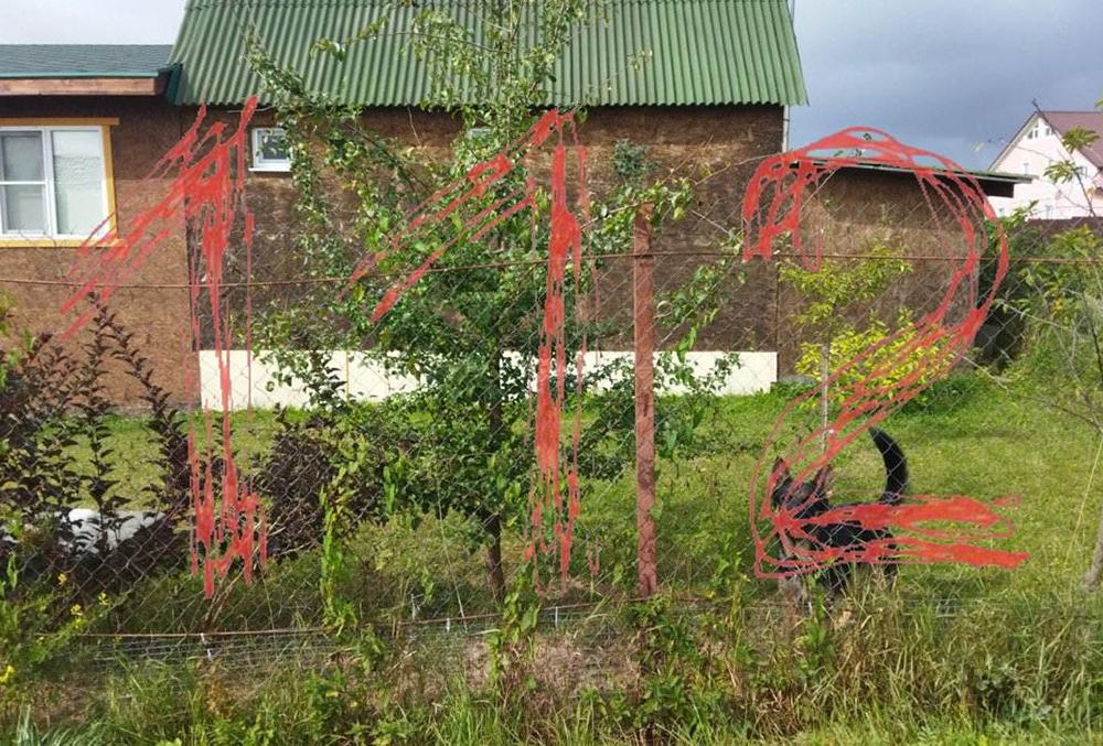 Стали известны подробности убийства женщины в Новой Москве