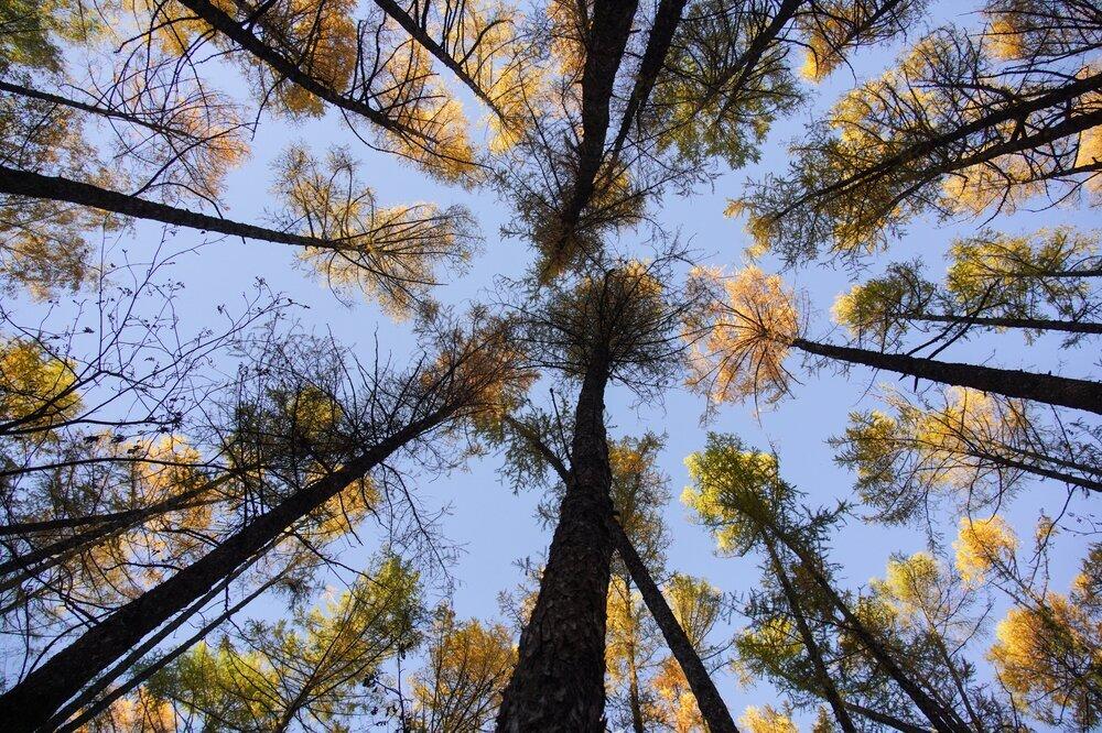 Москвичам пообещали скорое потепление 
