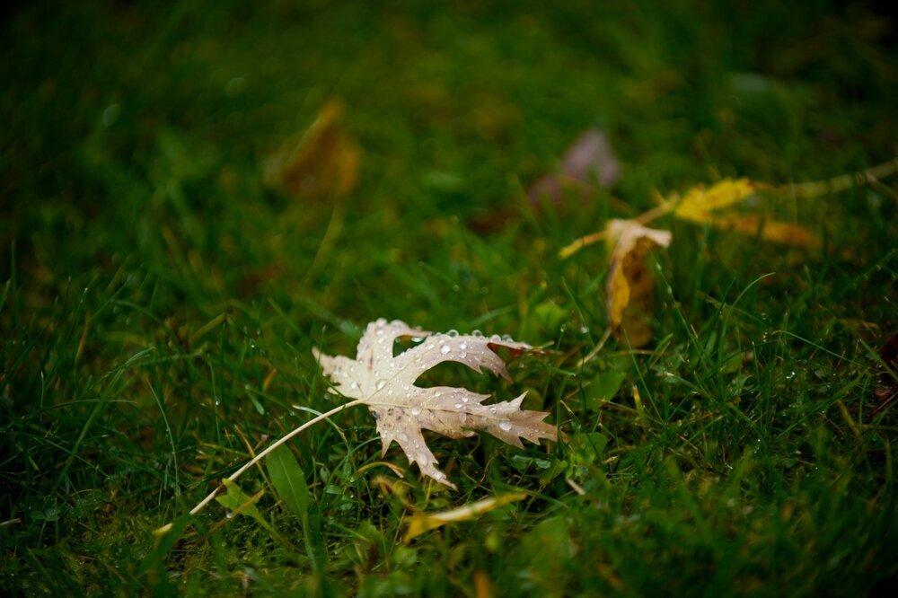 Москвичам пообещали дождь со снегом