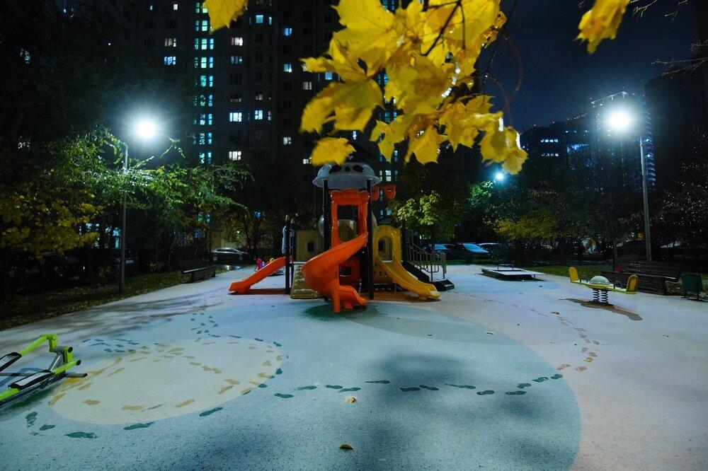 Тишковец пообещал москвичам «мягкий вариант зимы»