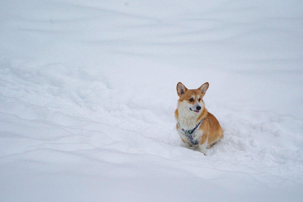 «Желтый» уровень погодной опасности объявили в Москве и области