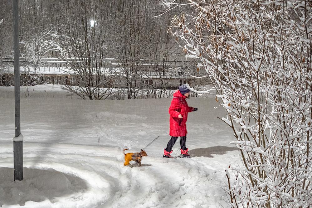 Москвичам пообещали «зимний характер погоды»