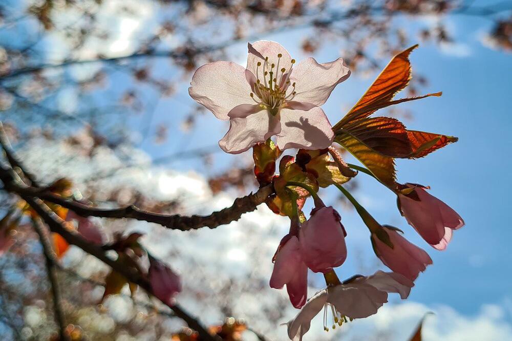 Определен самый теплый день с начала года в Москве