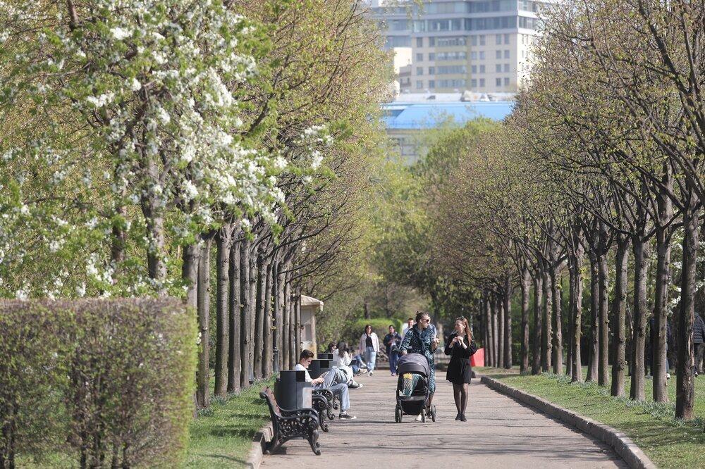 «Желтый» уровень погодной опасности объявили в Москве