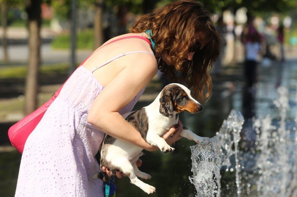 В Москве объявили «оранжевый» уровень погодной опасности