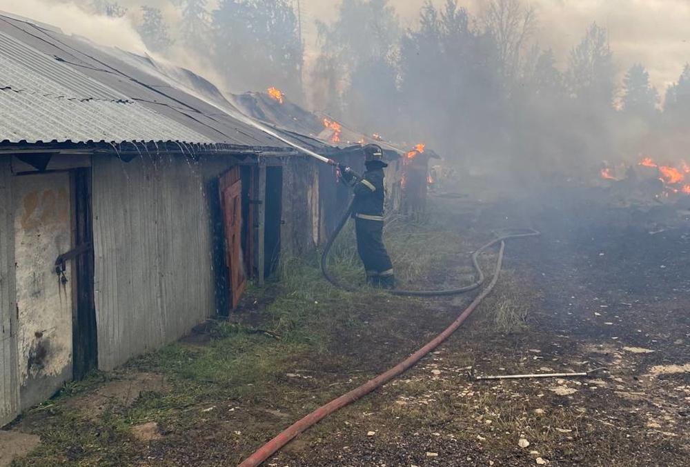Загоревшаяся в Подмосковье деревня попала на видео