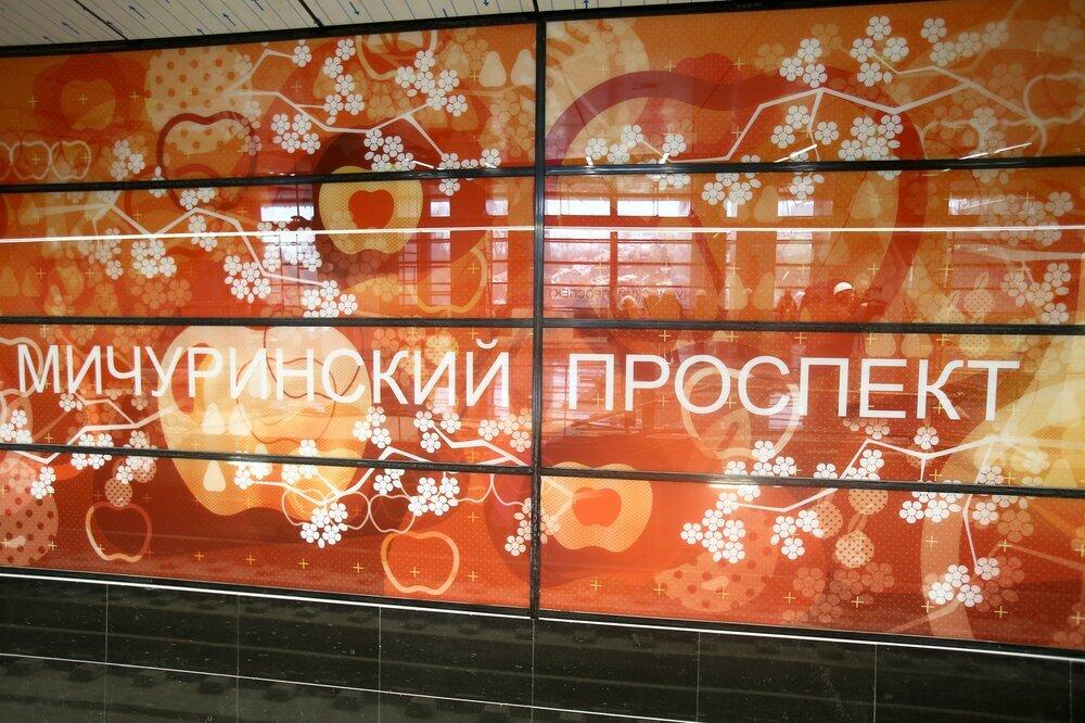 Архитектор раскрыл смысл китайских орнаментов на станции московского метро