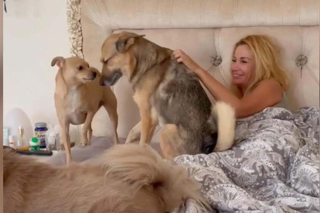 Беременная Ольга Орлова вернулась в Россию