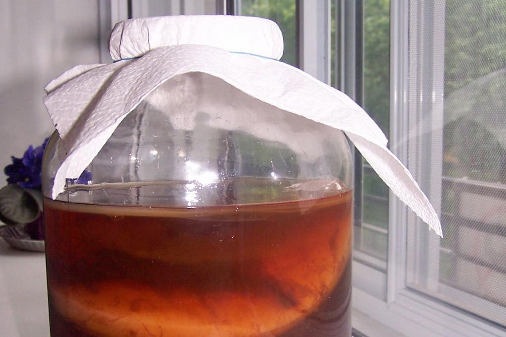 Россиянам напомнили о былой популярности чайного гриба