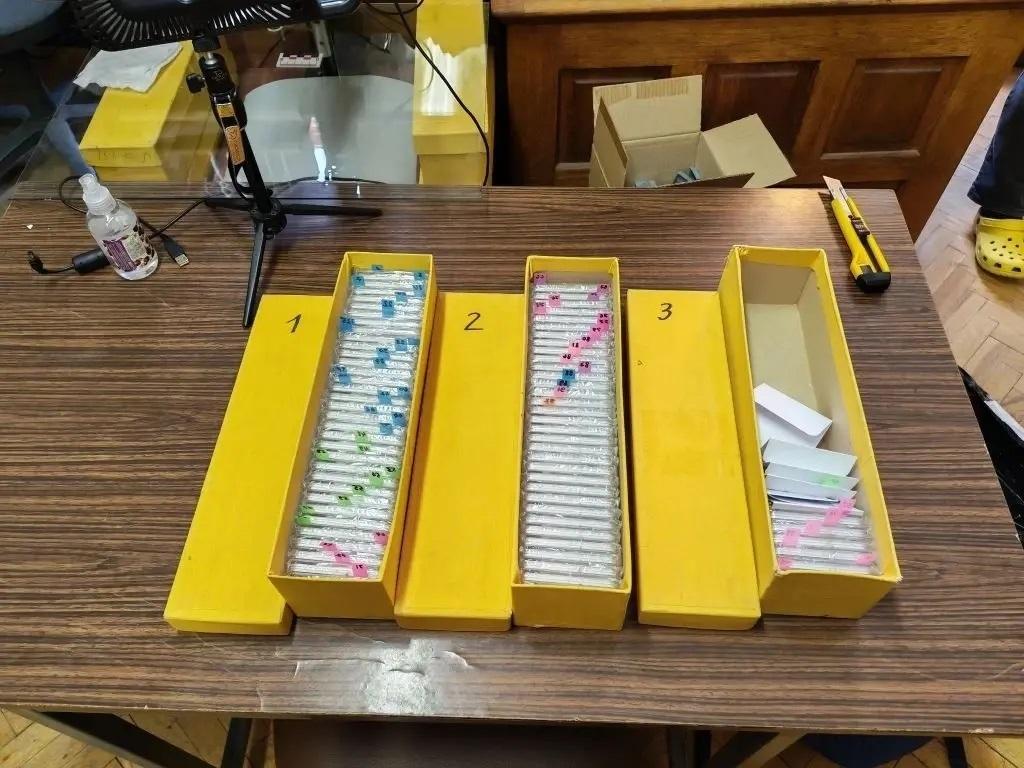 Укравшего во Франции монеты на 53 миллиона рублей задержали в Москве