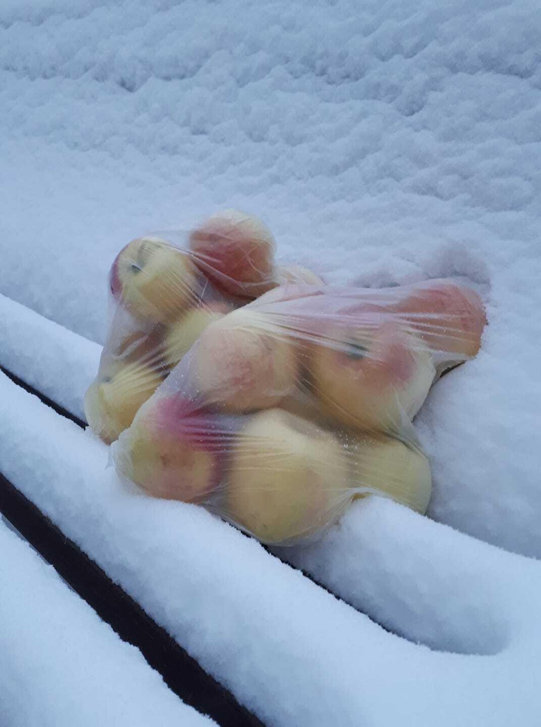 Фото яблок на снегу заставило россиян вспомнить один из главных хитов 90-х