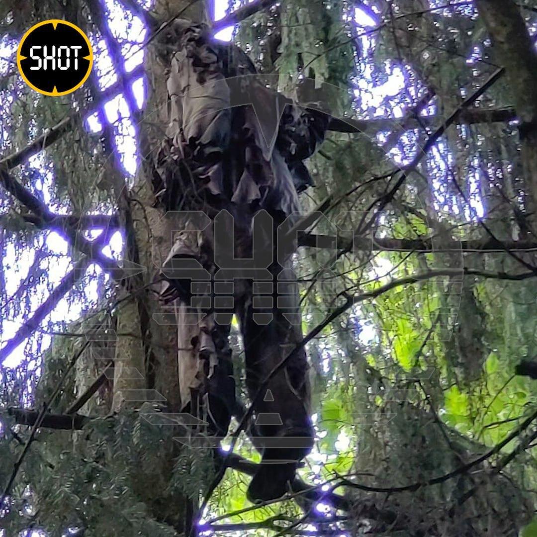 Мужчина нашел мумифицированный труп в московском лесу