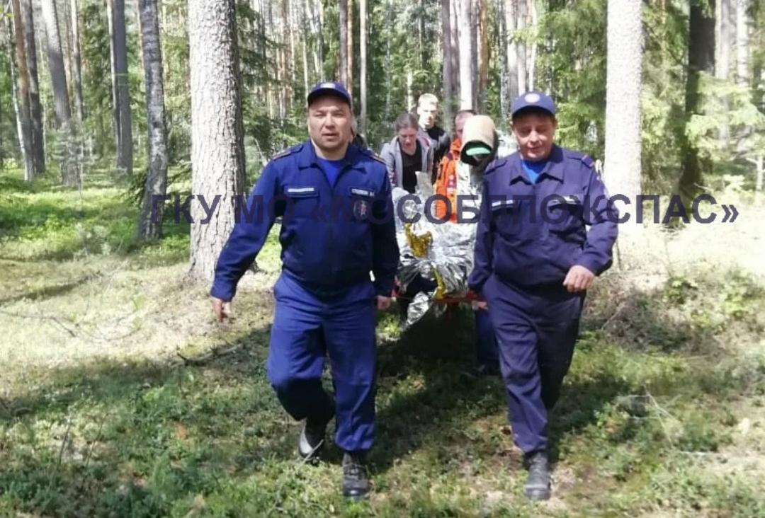 Житель Подмосковья провел в лесу пять суток без еды и воды