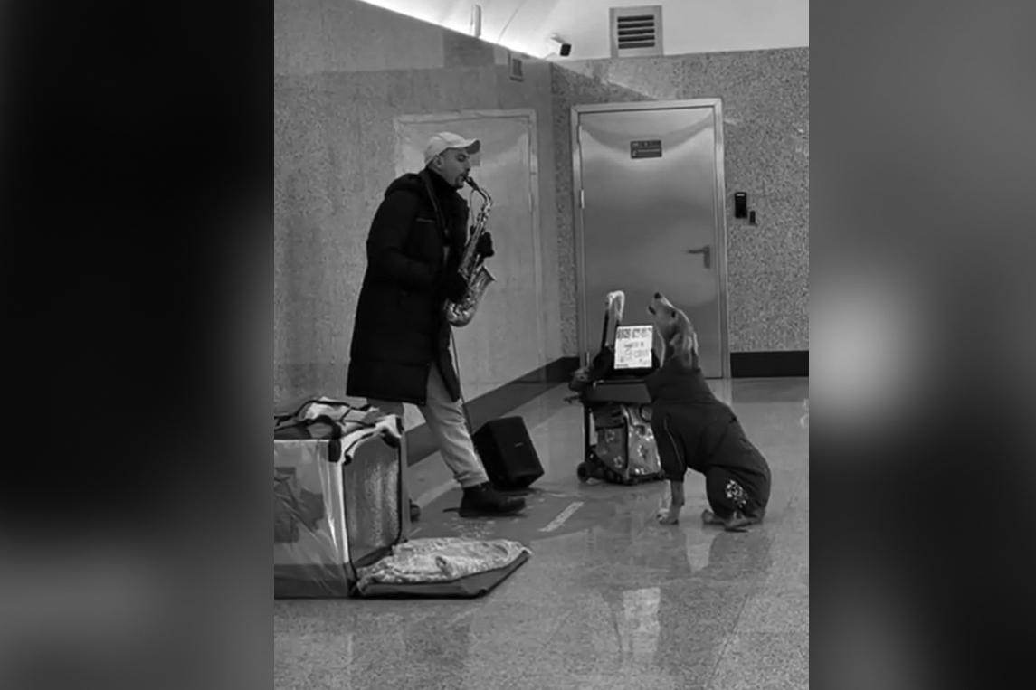 «Бременские музыканты» выступили в московском метро и попали на видео