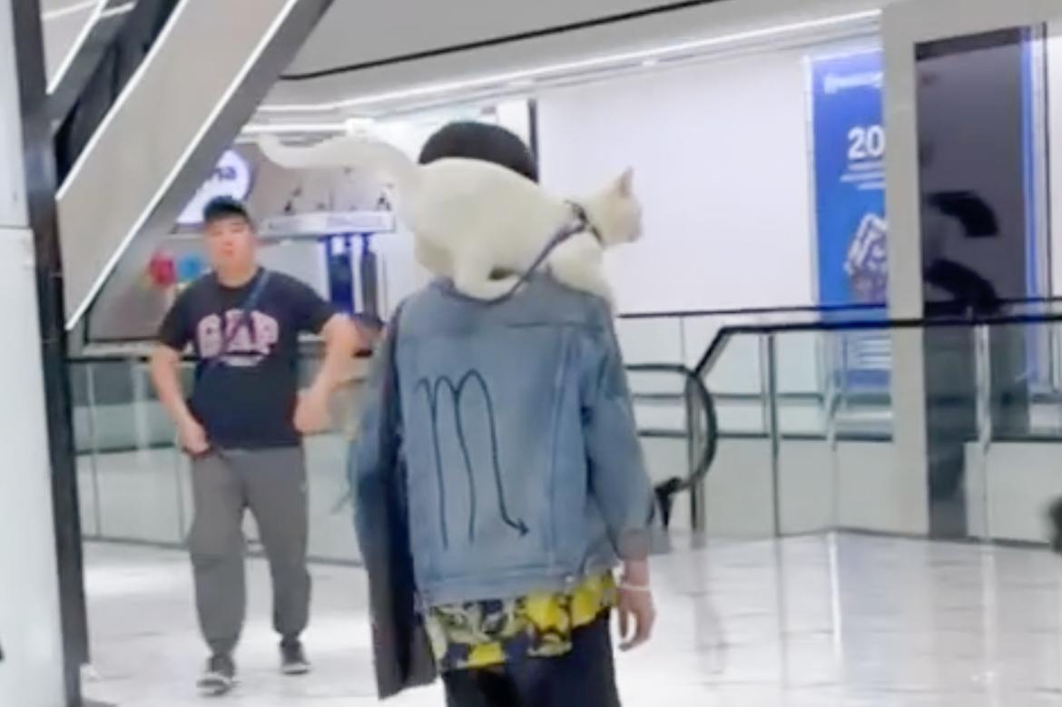 Необычный посетитель московского ТЦ попал на видео и умилил пользователей сети