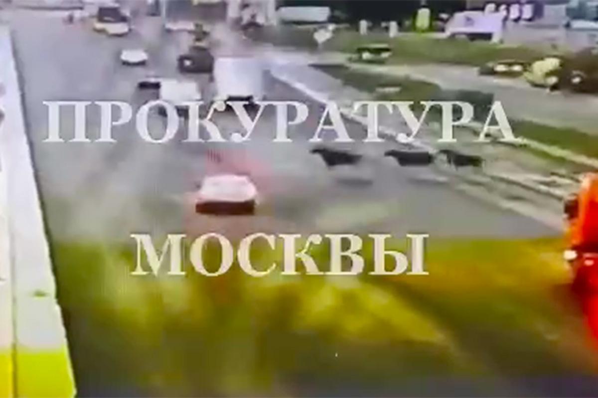 Смертельная авария с участием лосей в Москве попала на видео